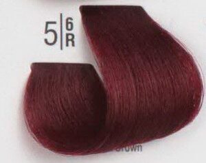 Spa Master Spa Cream Color 100ml – Επαγγελματική Κρέμα Βαφής Μαλλιών με Τεχνολογία Μοριακής Αναδόμησης