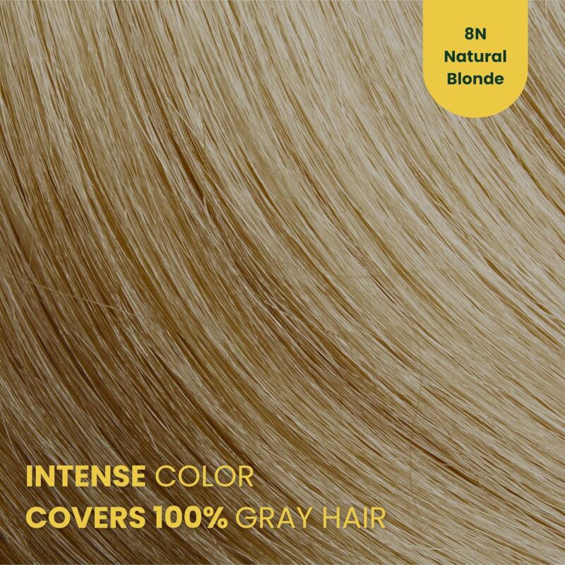 Βαφή μαλλιών χωρίς αμμωνία Φυσικό Ξανθό Natural Blonde 8N - Herbal Time PhytoCare - Image 2