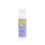 Alfaparf Yellow Professional Silver Purple Leave-in Mousse 160ml – Αφρός Leave-In Κατά του Κιτρινίσματος για Λάμψη & Επανόρθωση