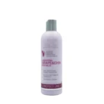 Spa Master Laminating Grape & Chia Hair Balm 330ml – Conditioner Προστασίας Χρώματος για Βαμμένα Μαλλιά